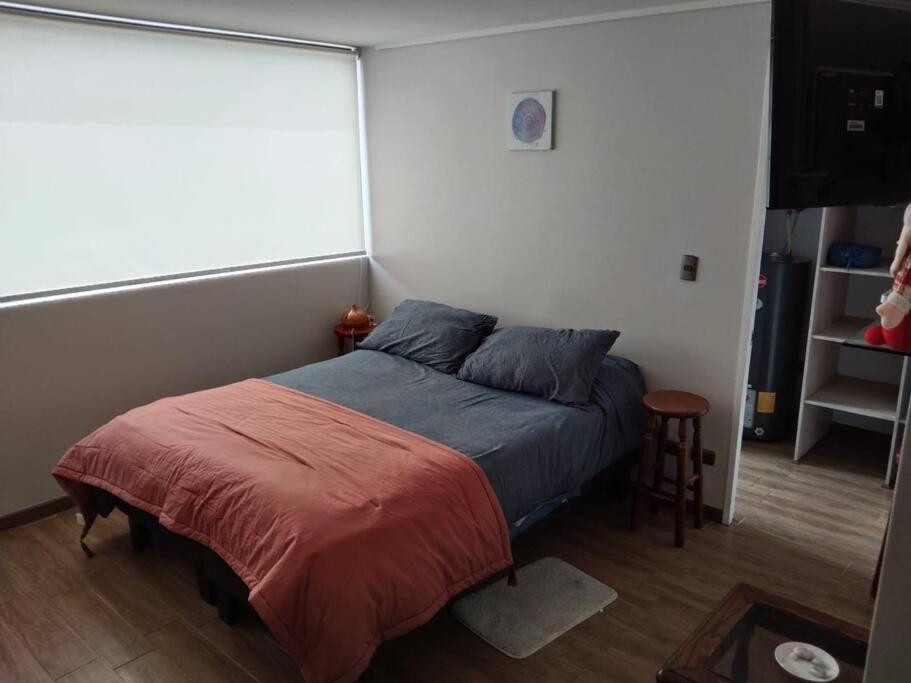 Departamento Nuevo Tipo Estudio En Pleno Centro -8 Appartement Concepción Buitenkant foto
